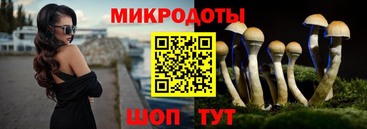 Галлюциногенные грибы Cubensis Гусев