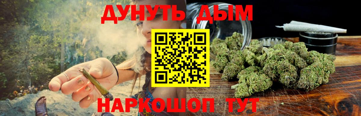 Бошки марихуана сатива  Шишки марихуана планчик  Вход с VPN  Гусев 