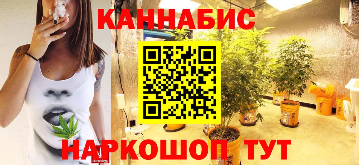 МАРИХУАНА конопля Гусев